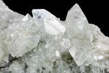 Apophyllite Crystal Cluster - India #122101-4